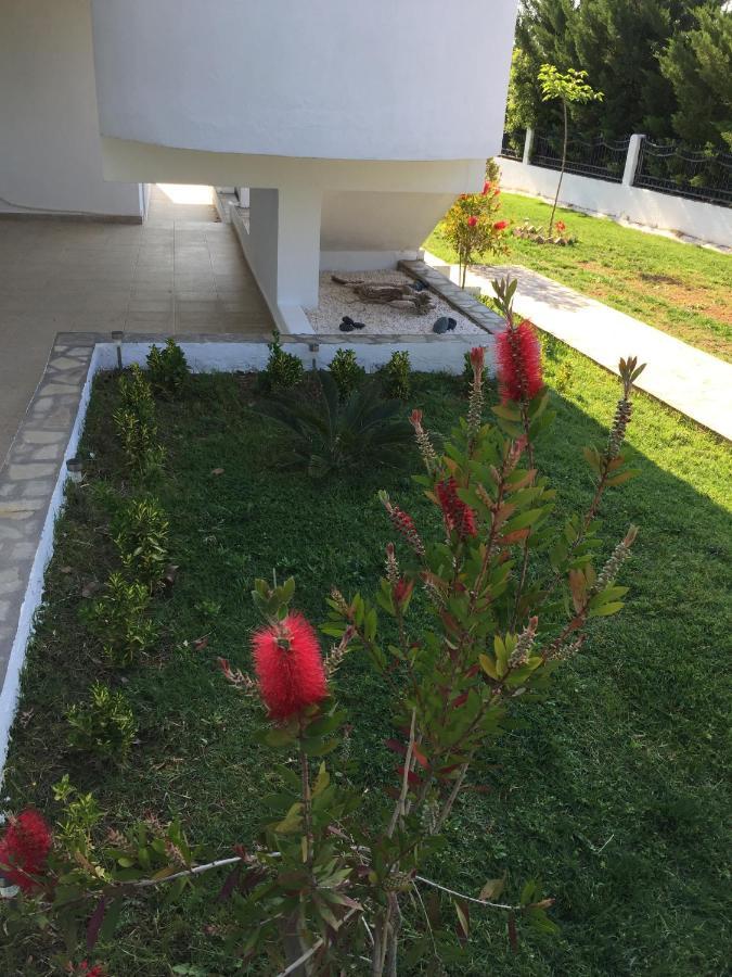 Simplicity At Iris Accommodation ซากูเดีย ภายนอก รูปภาพ